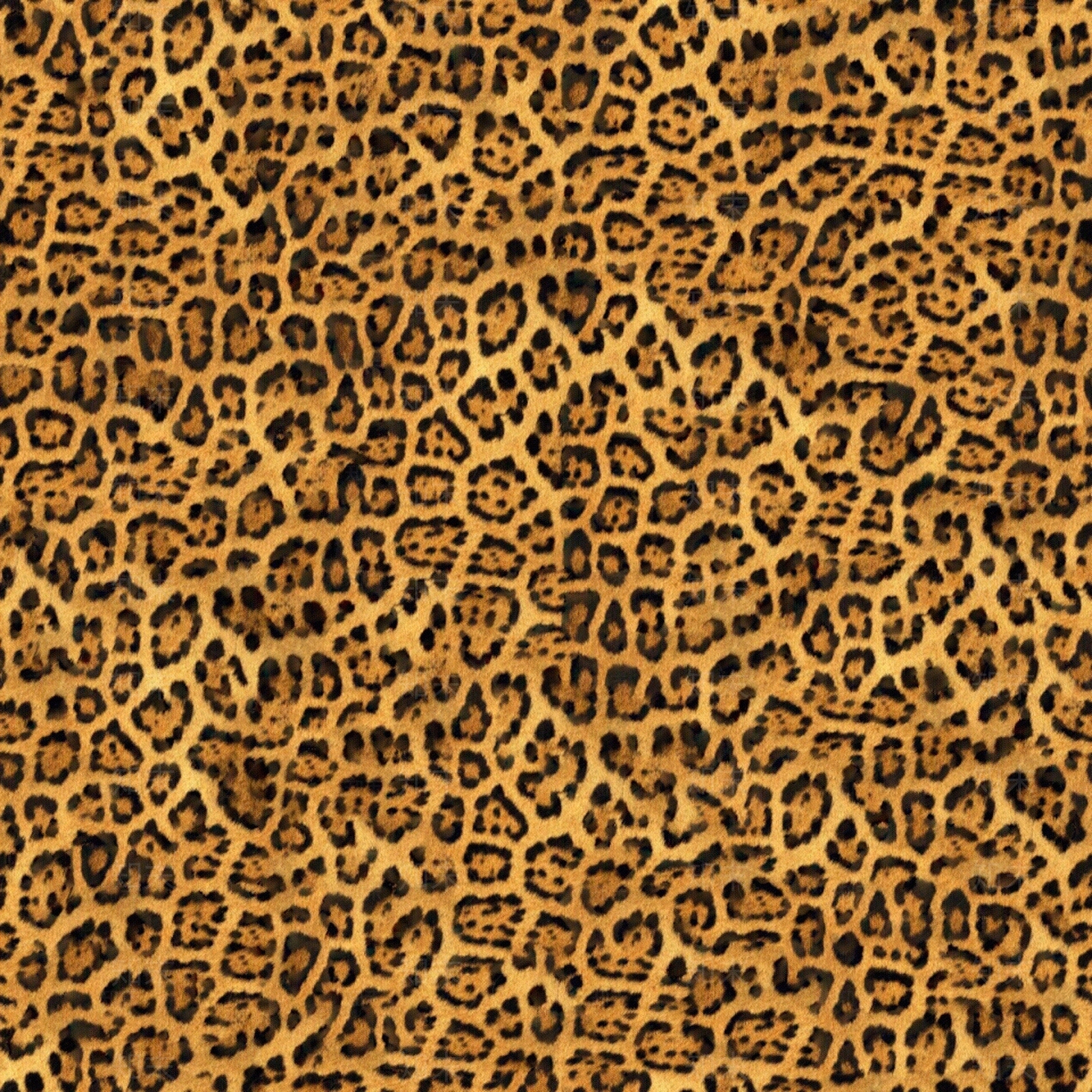 现代动物皮毛贴图下载【ID:1192869367】