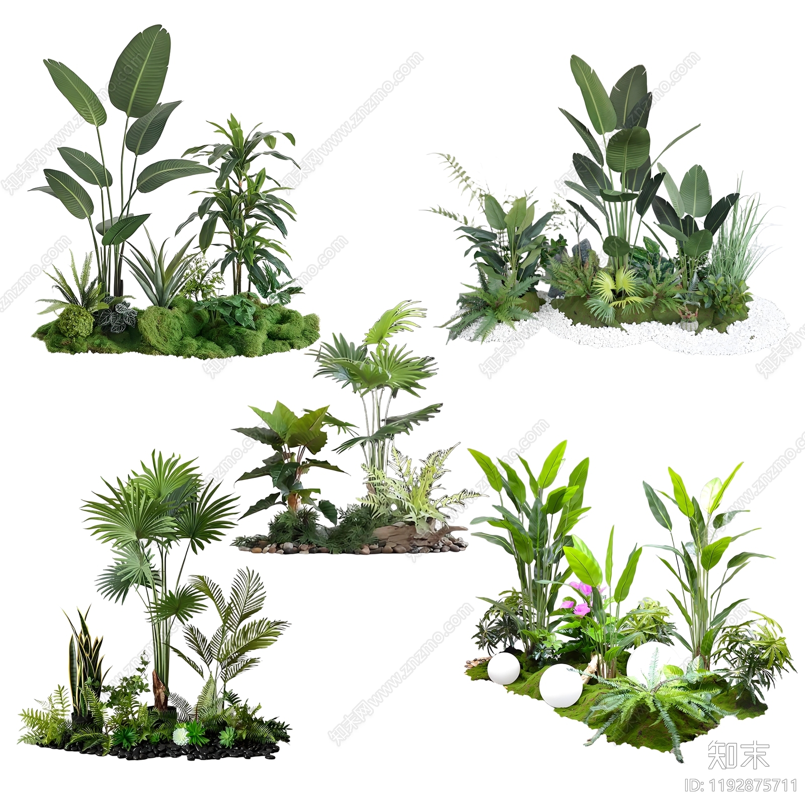 现代简约其他植物组合下载【ID:1192875711】