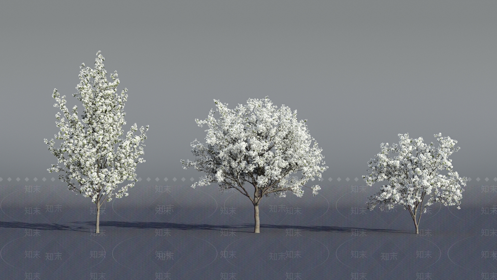 景观树3D模型下载【ID:1192883001】