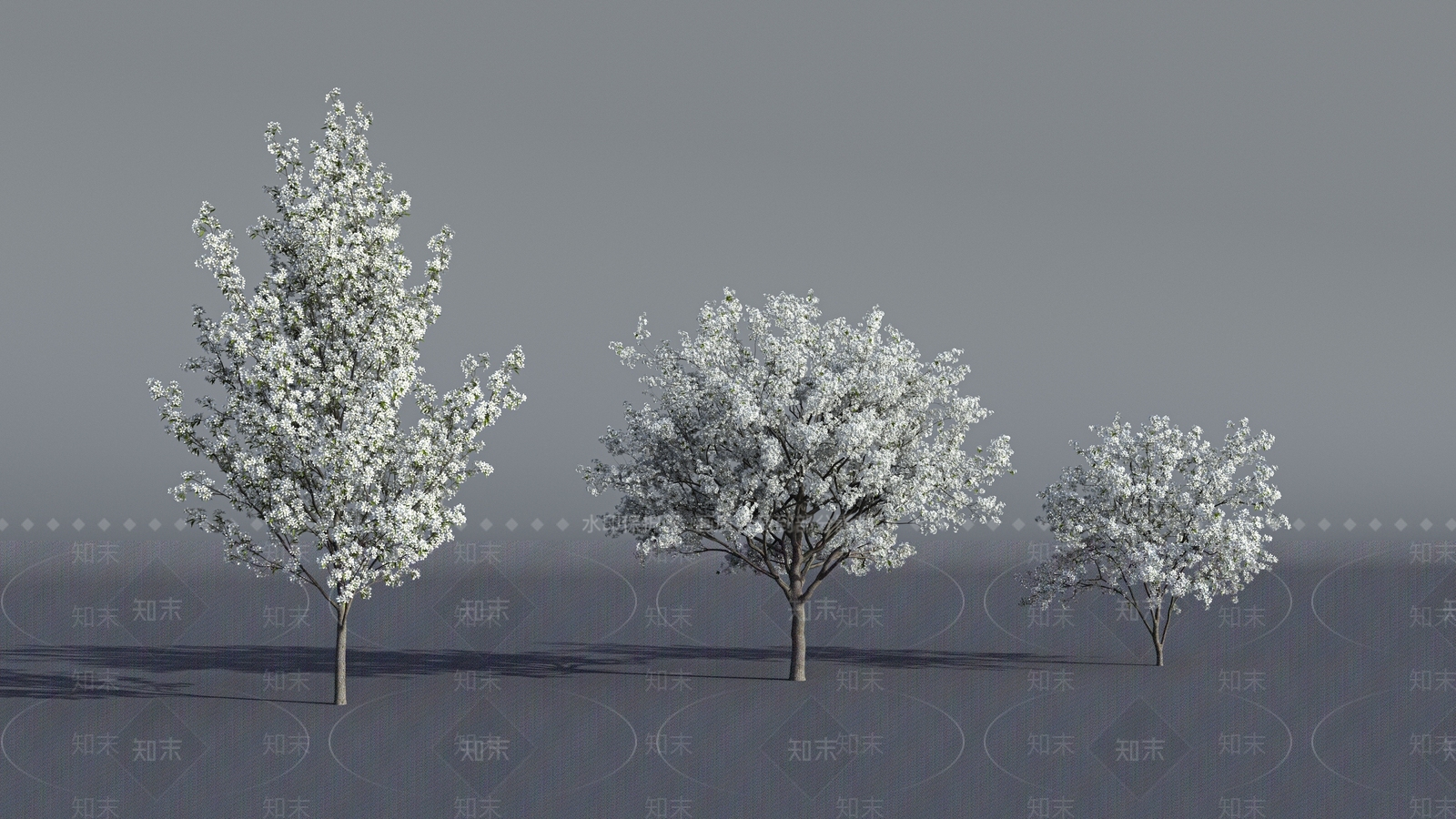 景观树3D模型下载【ID:1192883001】