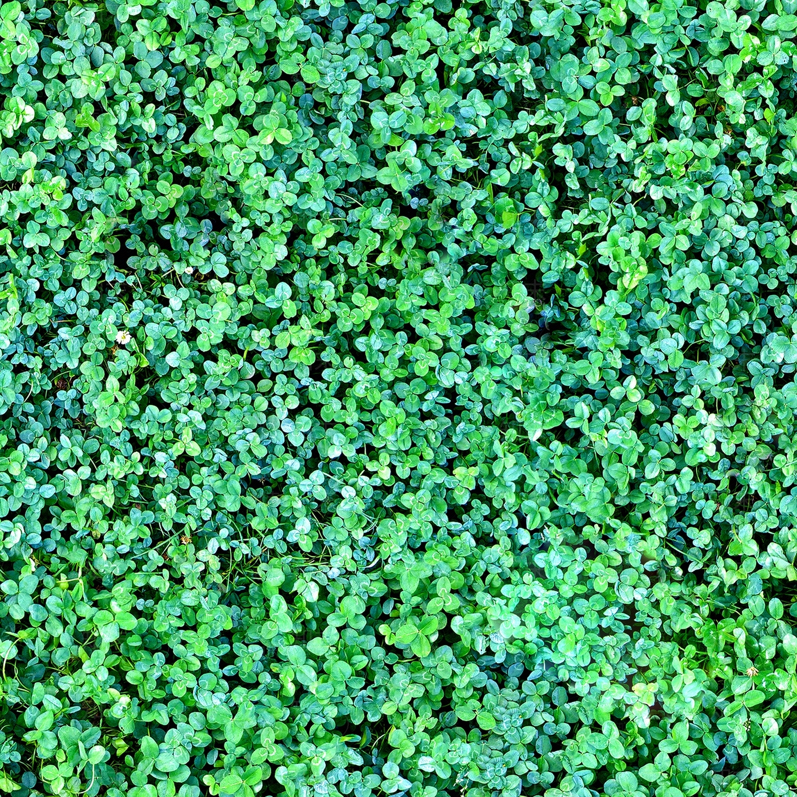 现代小区外景贴图下载【ID:1192896738】