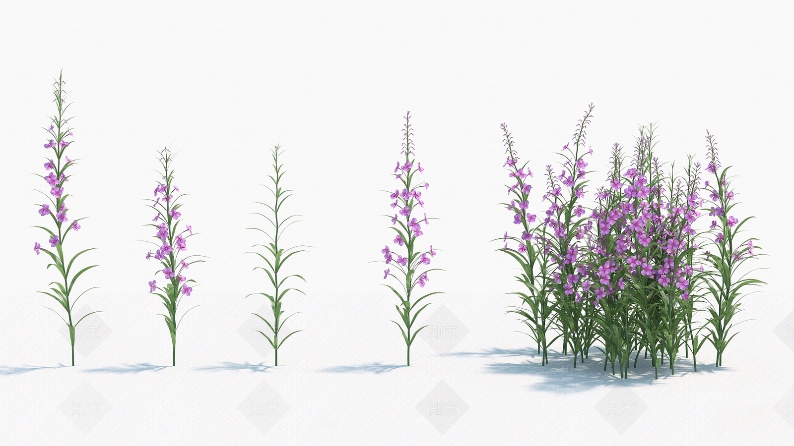 现代装饰植物3D模型下载【ID:1192909924】