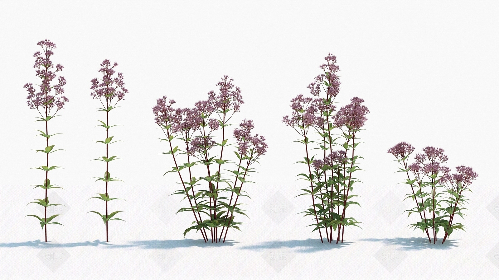 现代装饰植物3D模型下载【ID:1192909979】