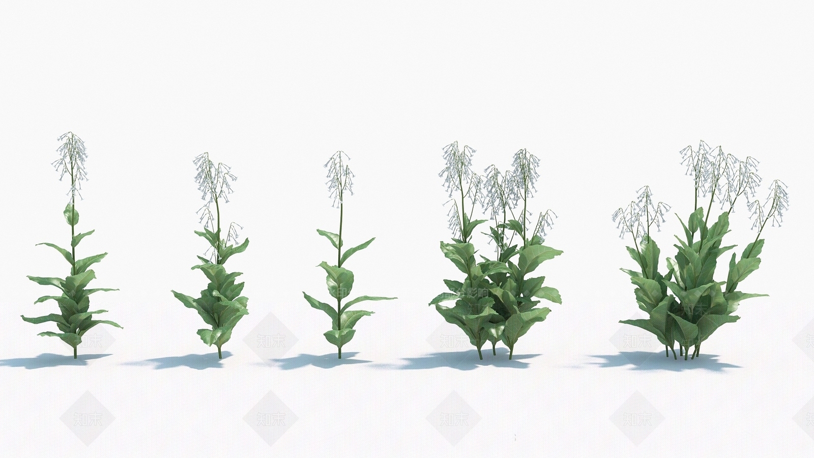 现代装饰植物3D模型下载【ID:1192910033】