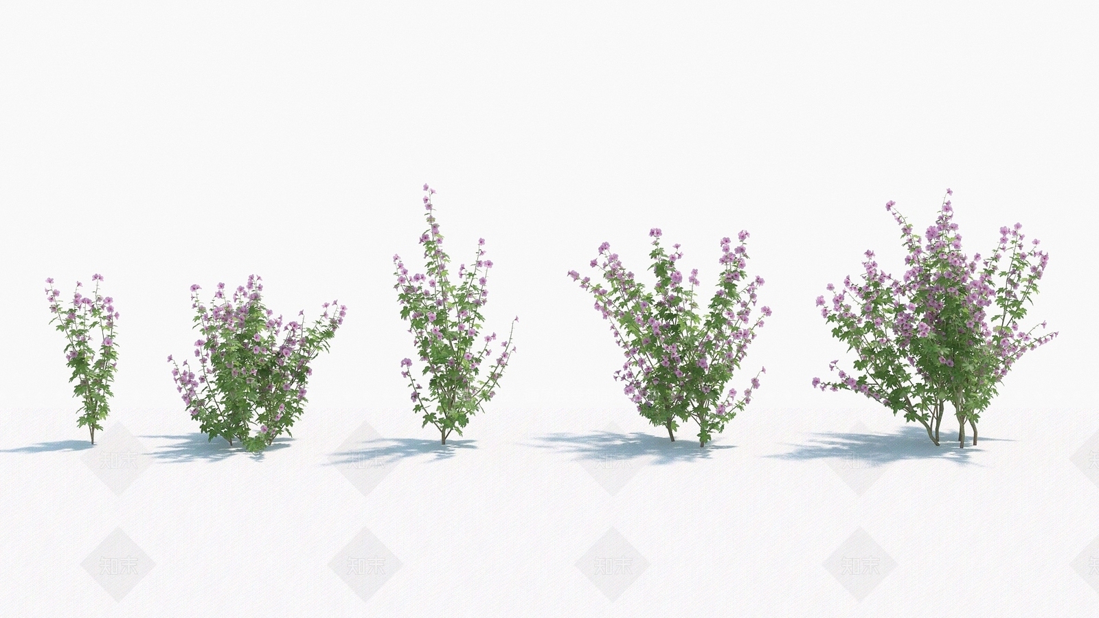 现代装饰植物3D模型下载【ID:1192910111】