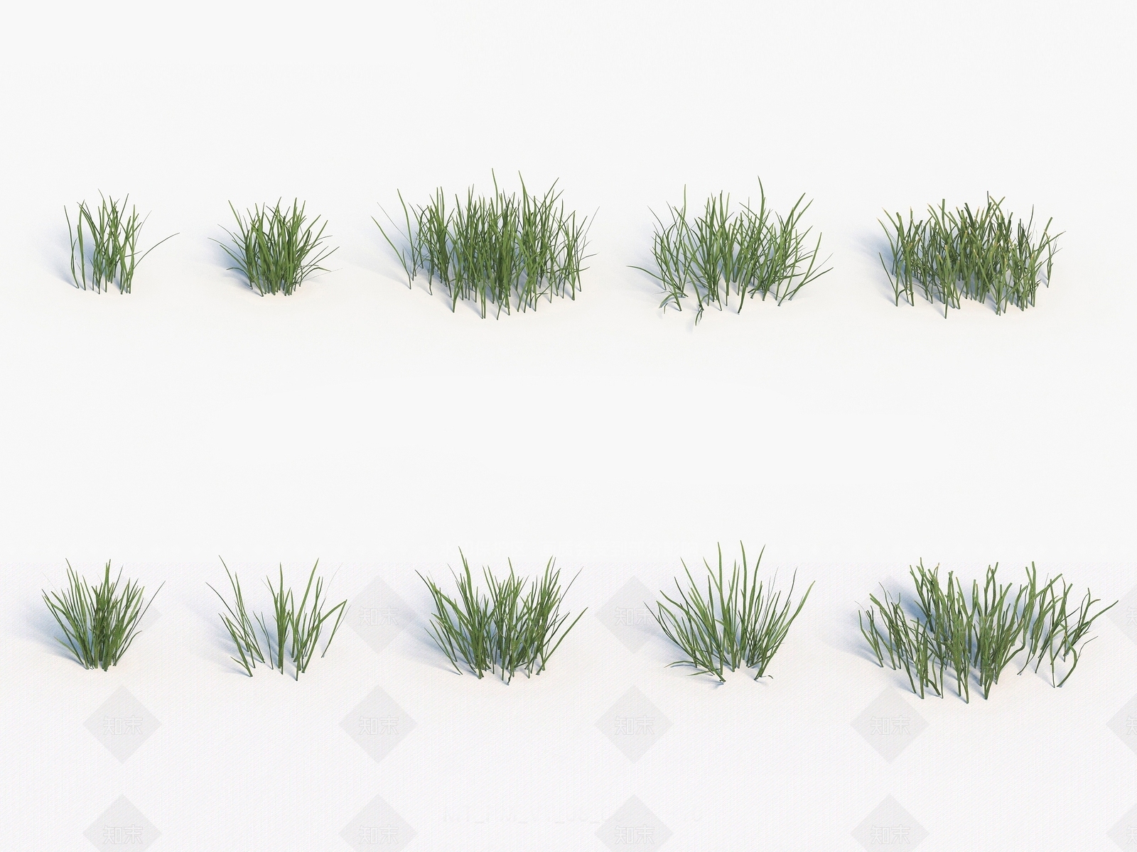 现代装饰植物3D模型下载【ID:1192910124】