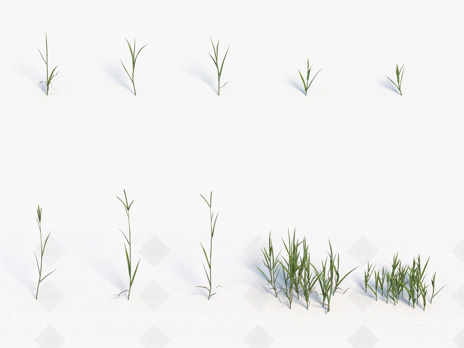 现代装饰植物3D模型下载【ID:1192910311】