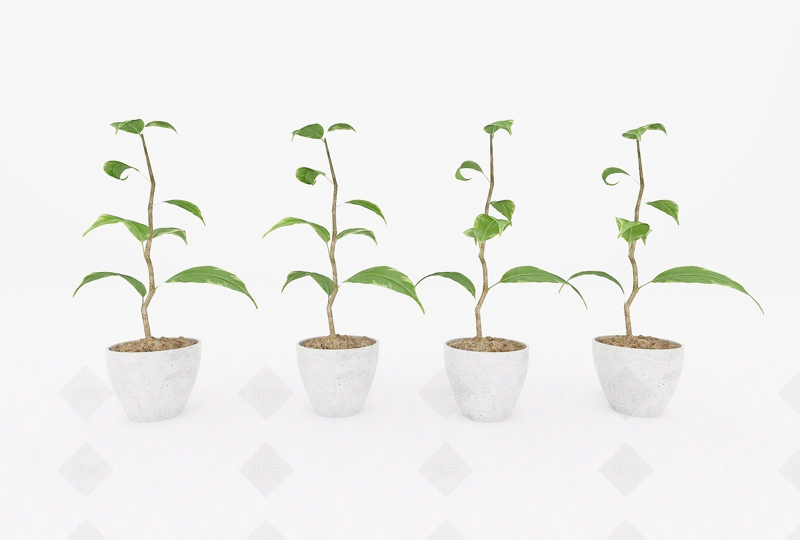 现代装饰植物3D模型下载【ID:1192915602】