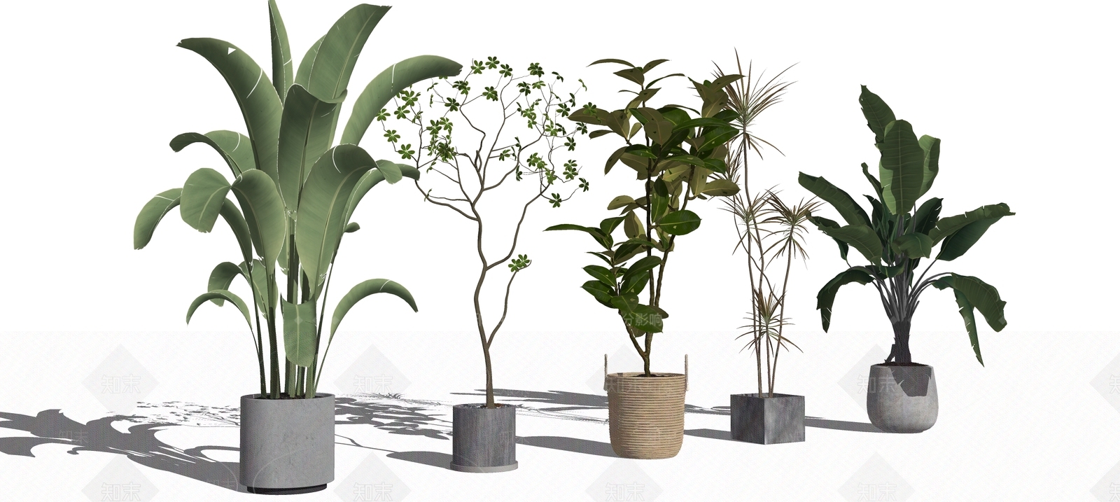 植物组合SU模型下载【ID:1192976720】