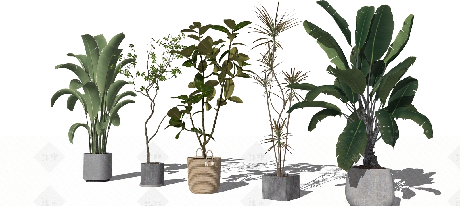 植物组合SU模型下载【ID:1192976720】