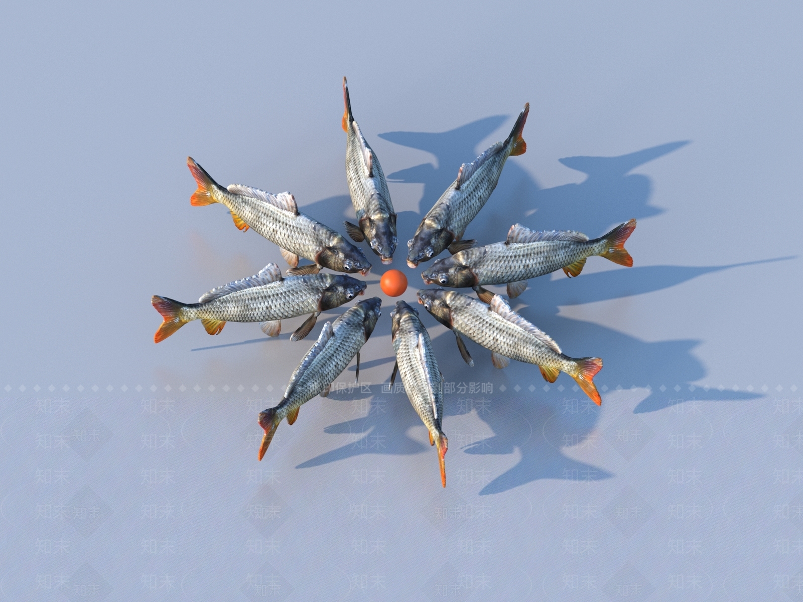 水生类动物3D模型下载【ID:1192976375】