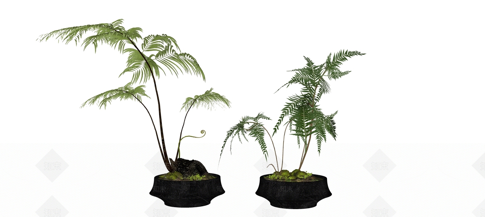 植物组合SU模型下载【ID:1192983527】