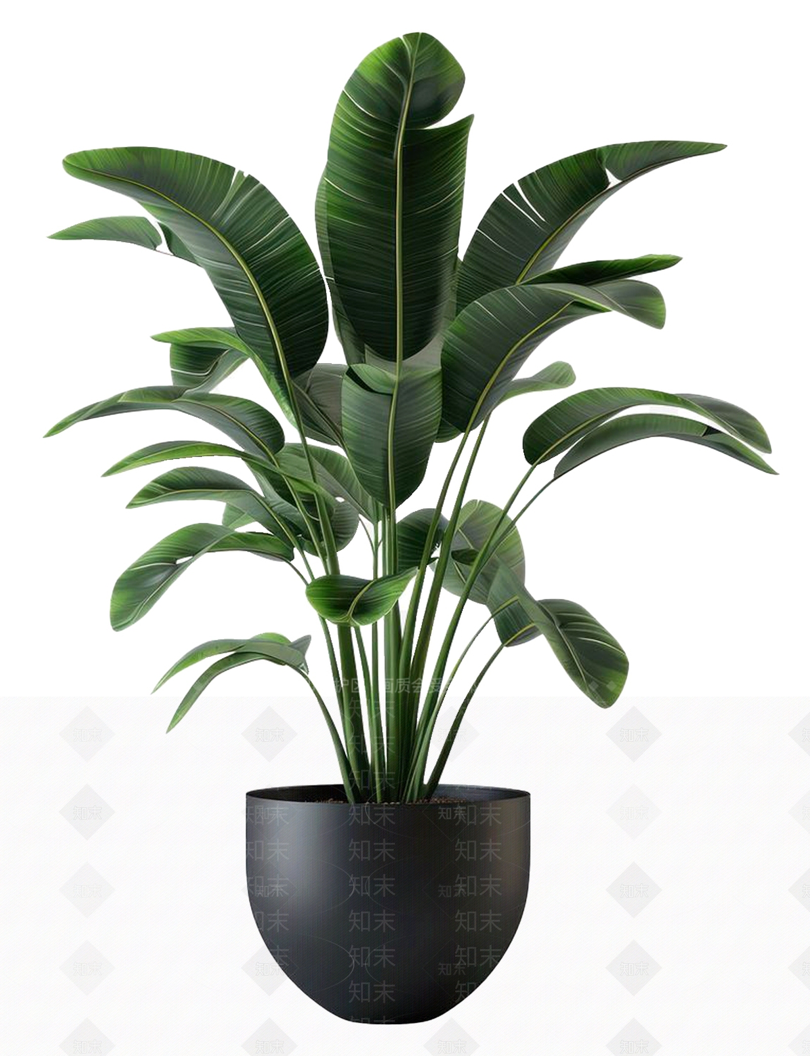 盆栽3D模型下载【ID:1192995393】