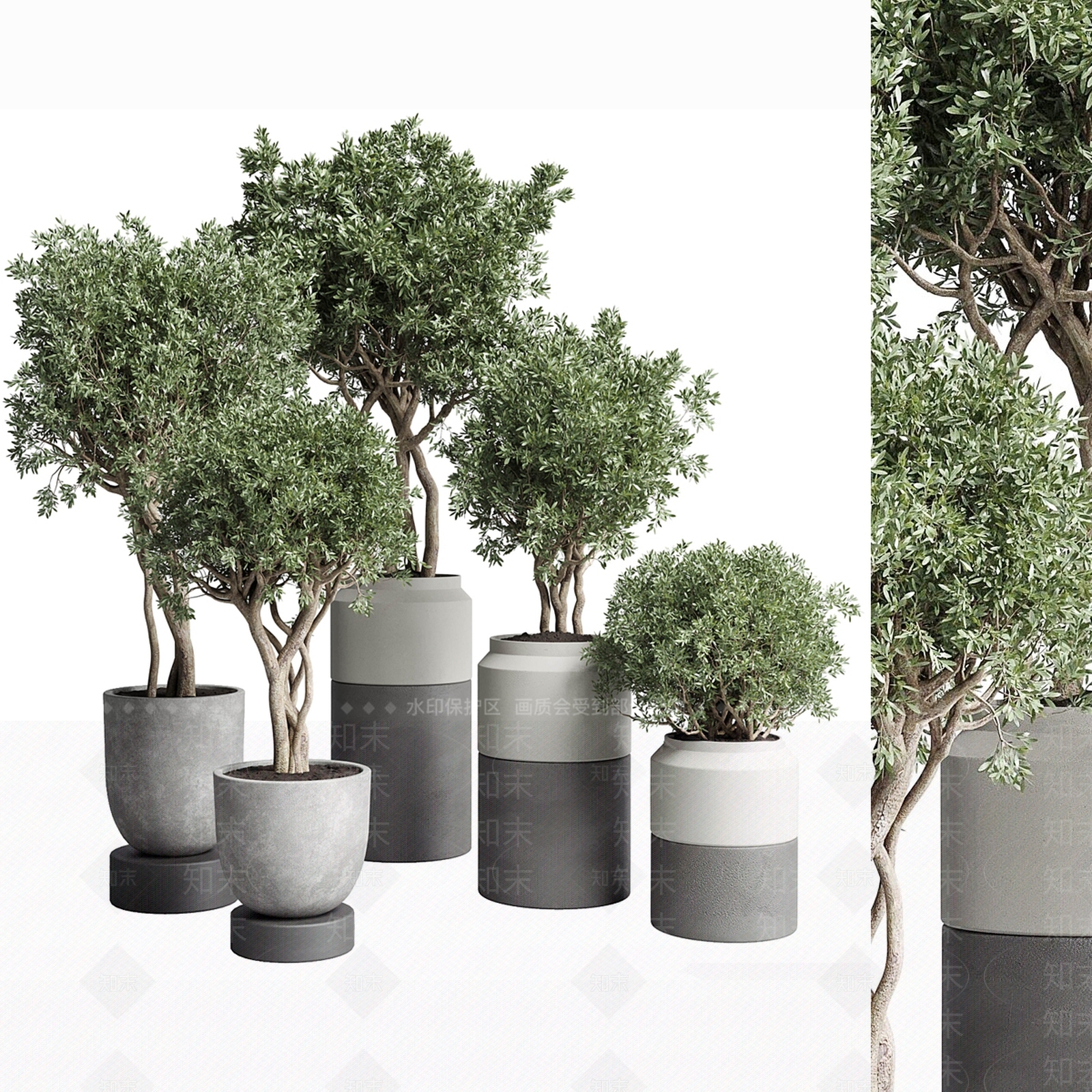 盆景3D模型下载【ID:1192996868】
