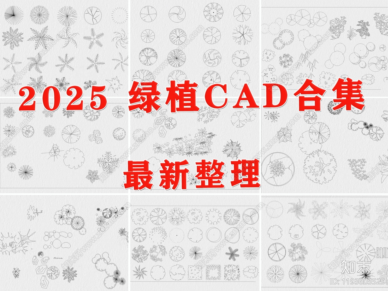 现代绿植施工图下载【ID:1193003529】