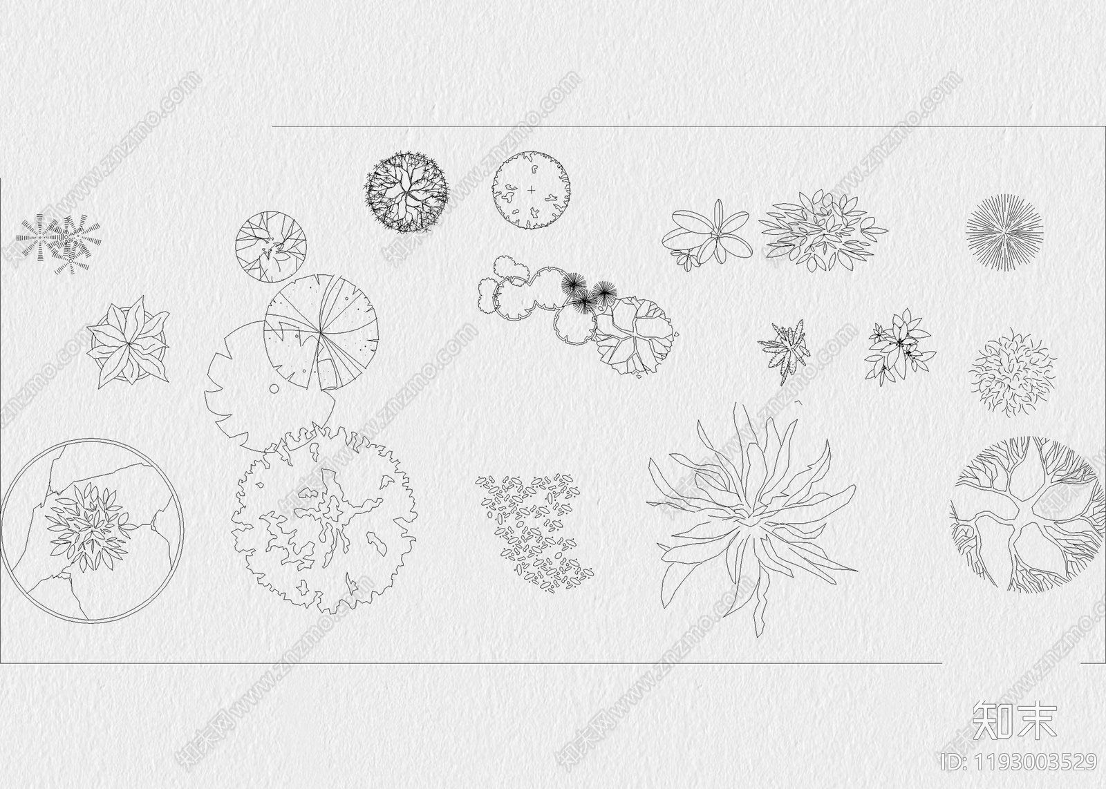 现代绿植cad施工图下载【ID:1193003529】