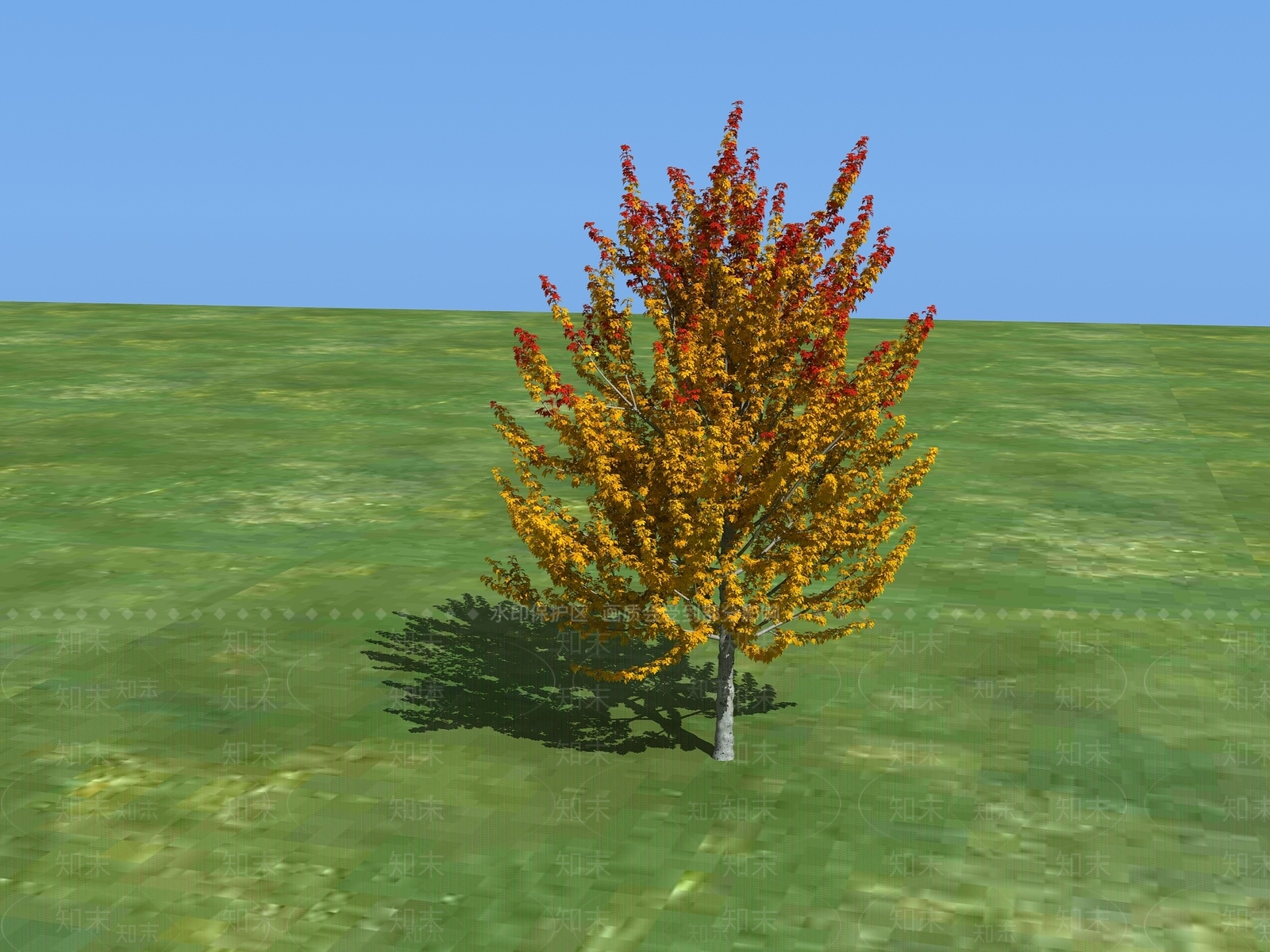景观树3D模型下载【ID:1193012451】