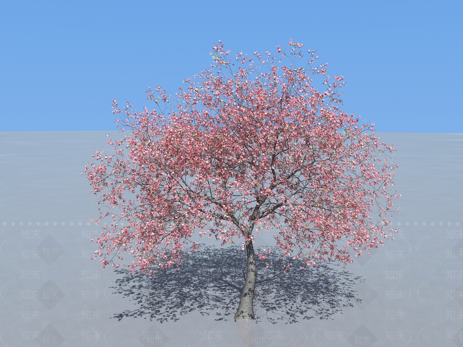 景观树3D模型下载【ID:1193015178】