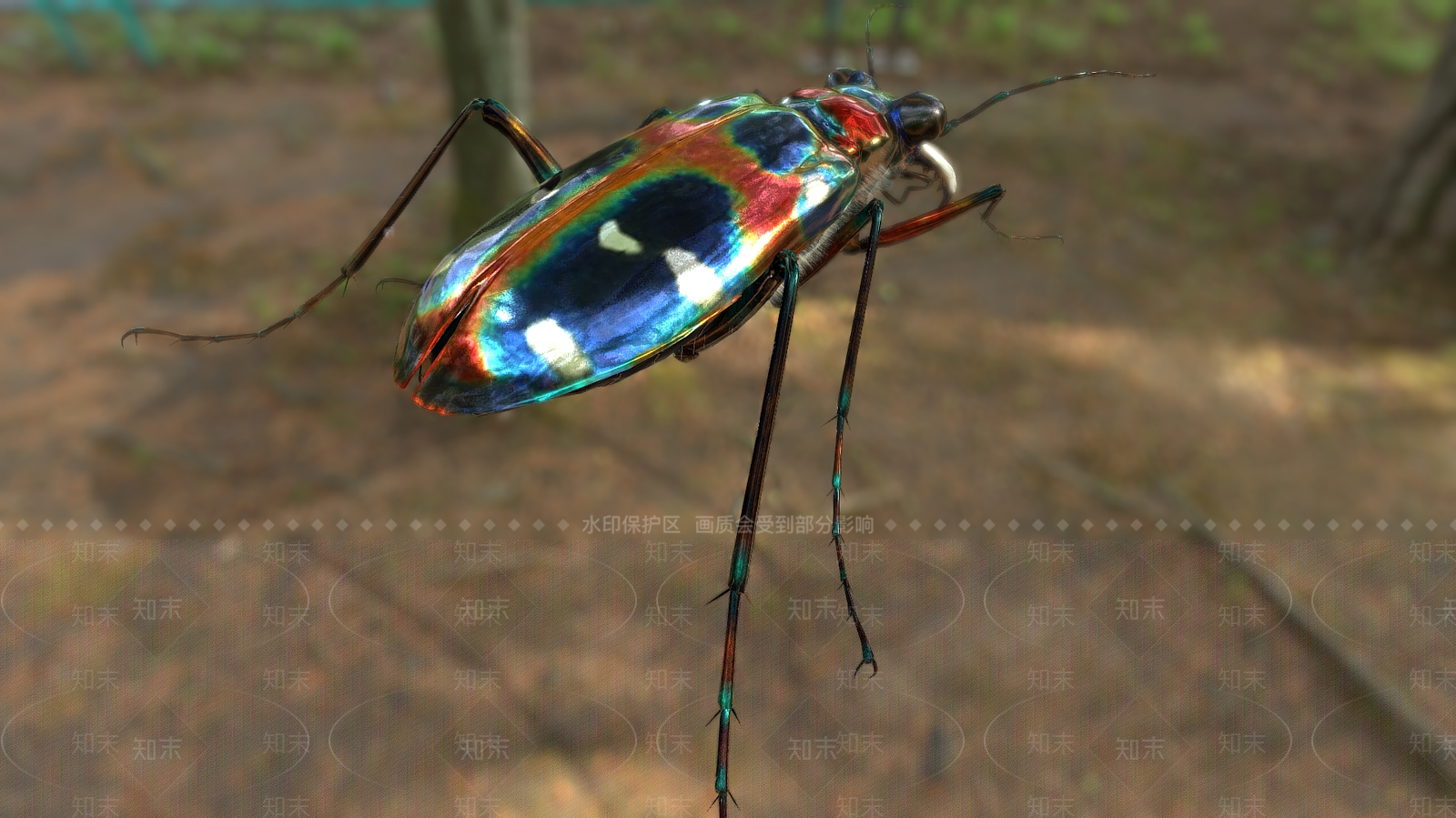 其他动物3D模型下载【ID:1193054386】
