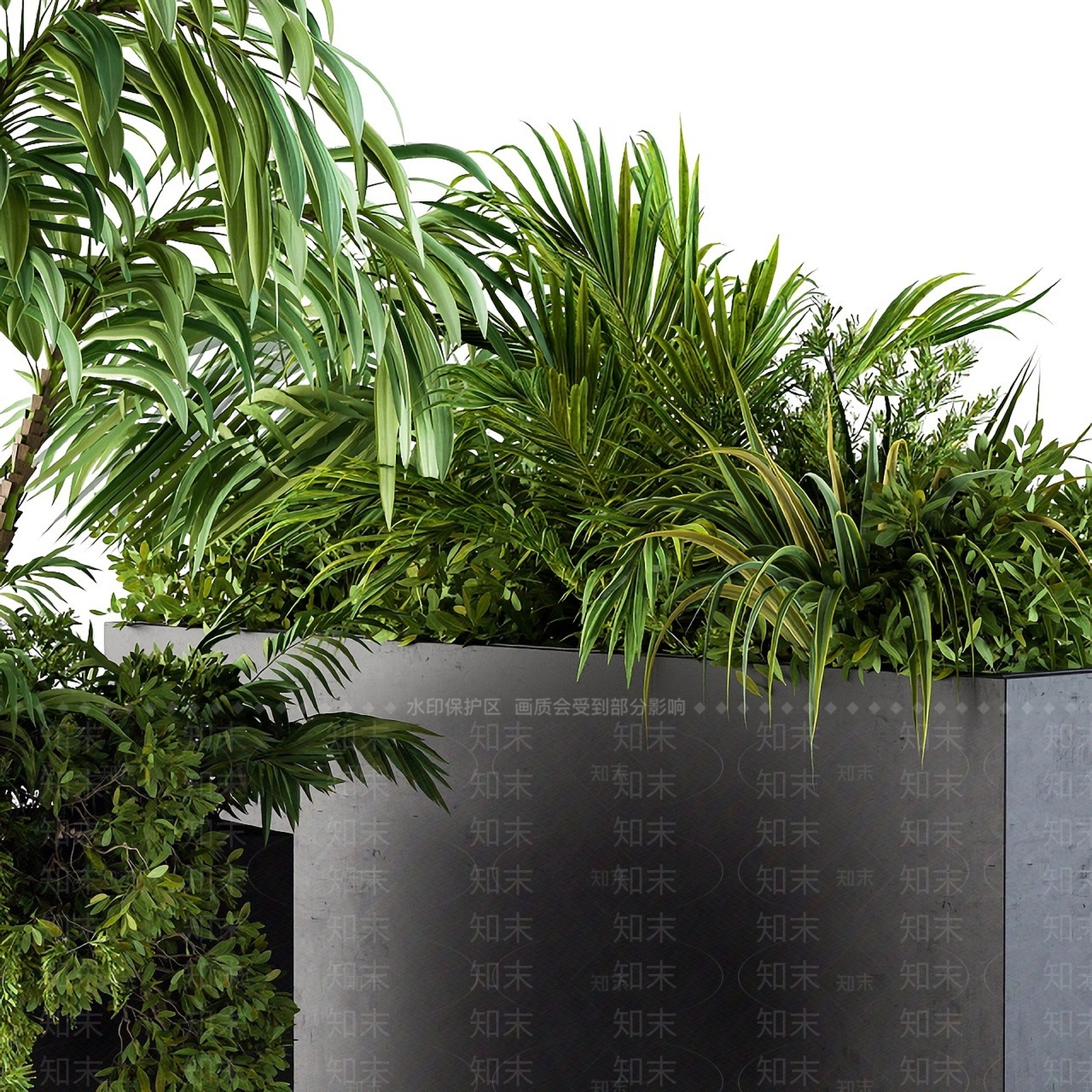 现代植物盆栽种植箱3D模型下载【ID:1193056476】