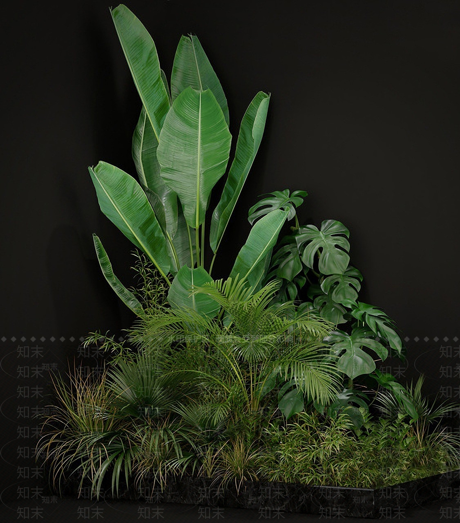 现代绿植植物龟背竹芭蕉3D模型下载【ID:1193056665】