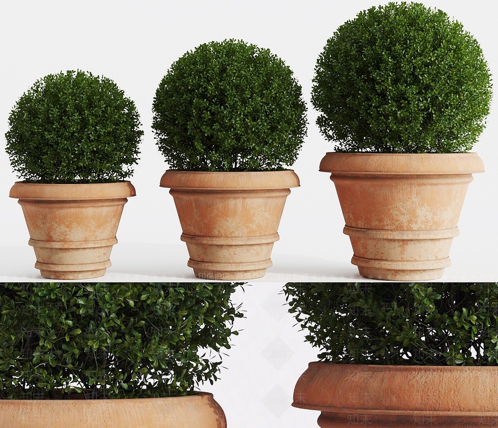 现代植物花坛盆栽3D模型下载【ID:1193056703】