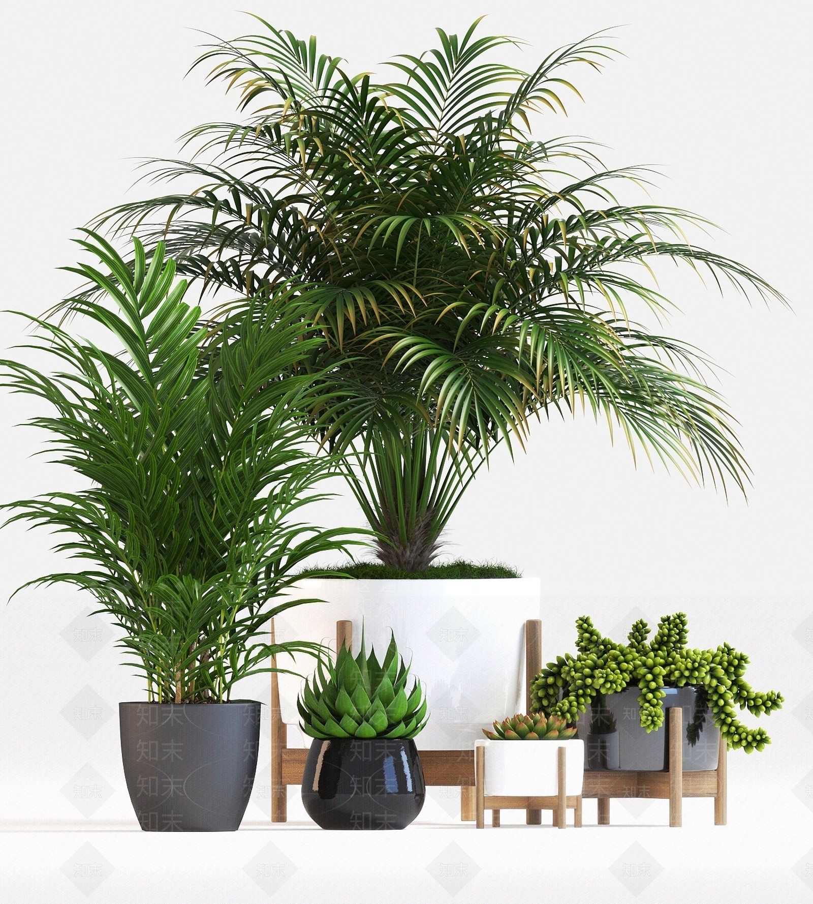 现代盆栽植物3D模型下载【ID:1193061902】