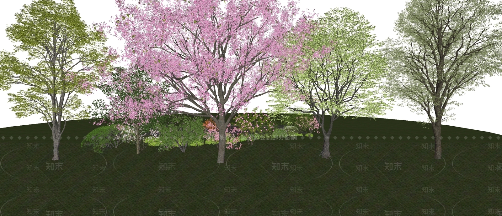 乔木SU模型下载【ID:1193066106】