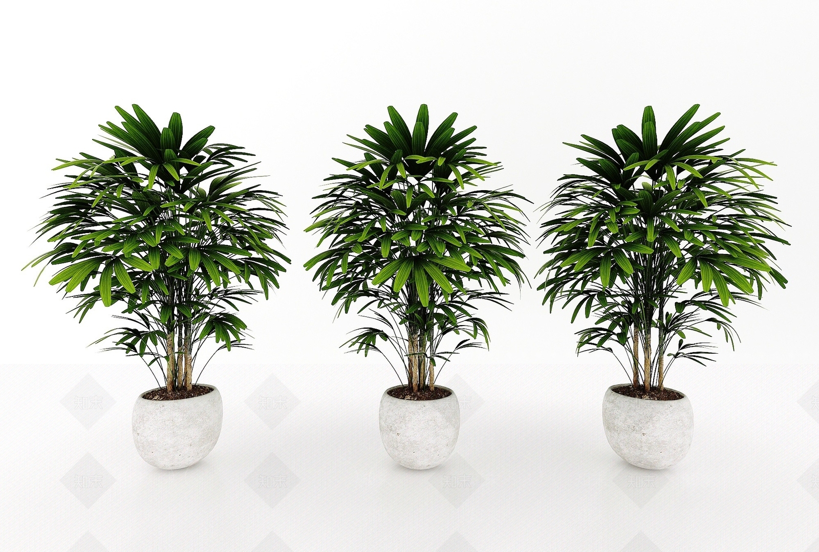 现代风格植物3D模型下载【ID:1193070199】