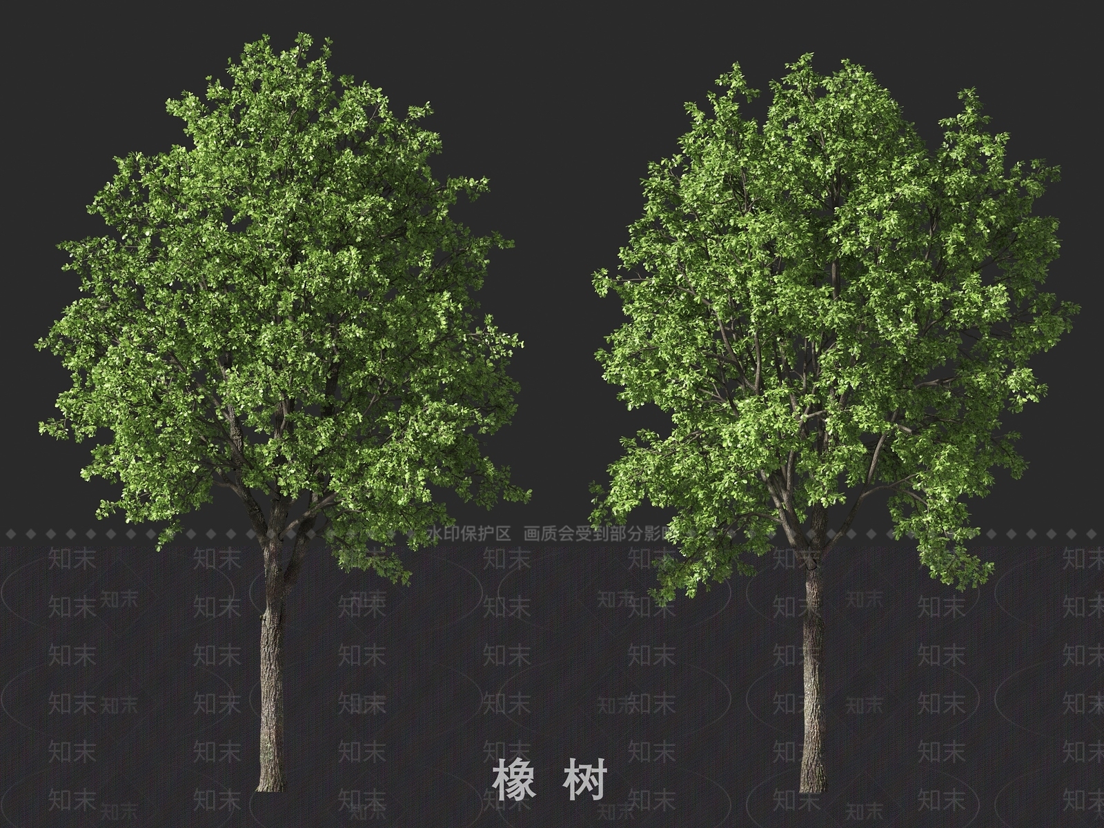 乔木3D模型下载【ID:1193072690】