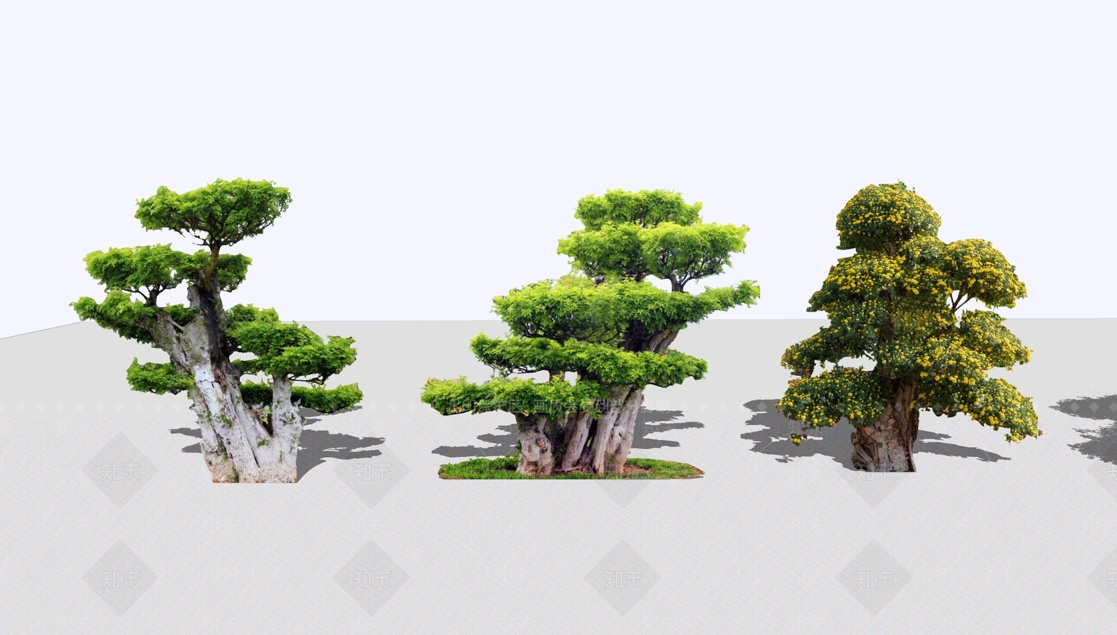 灌木SU模型下载【ID:1193149630】