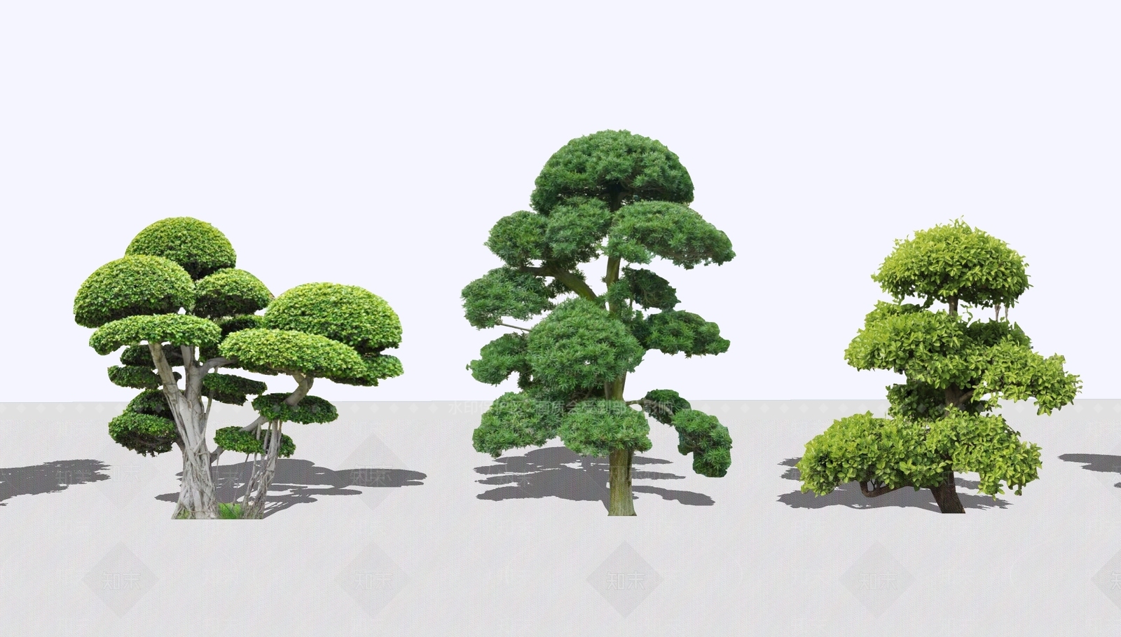 灌木SU模型下载【ID:1193149630】