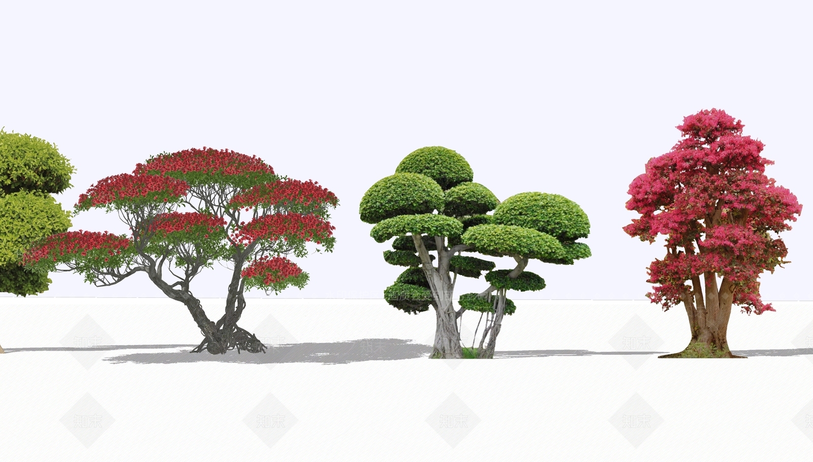 灌木SU模型下载【ID:1193150416】