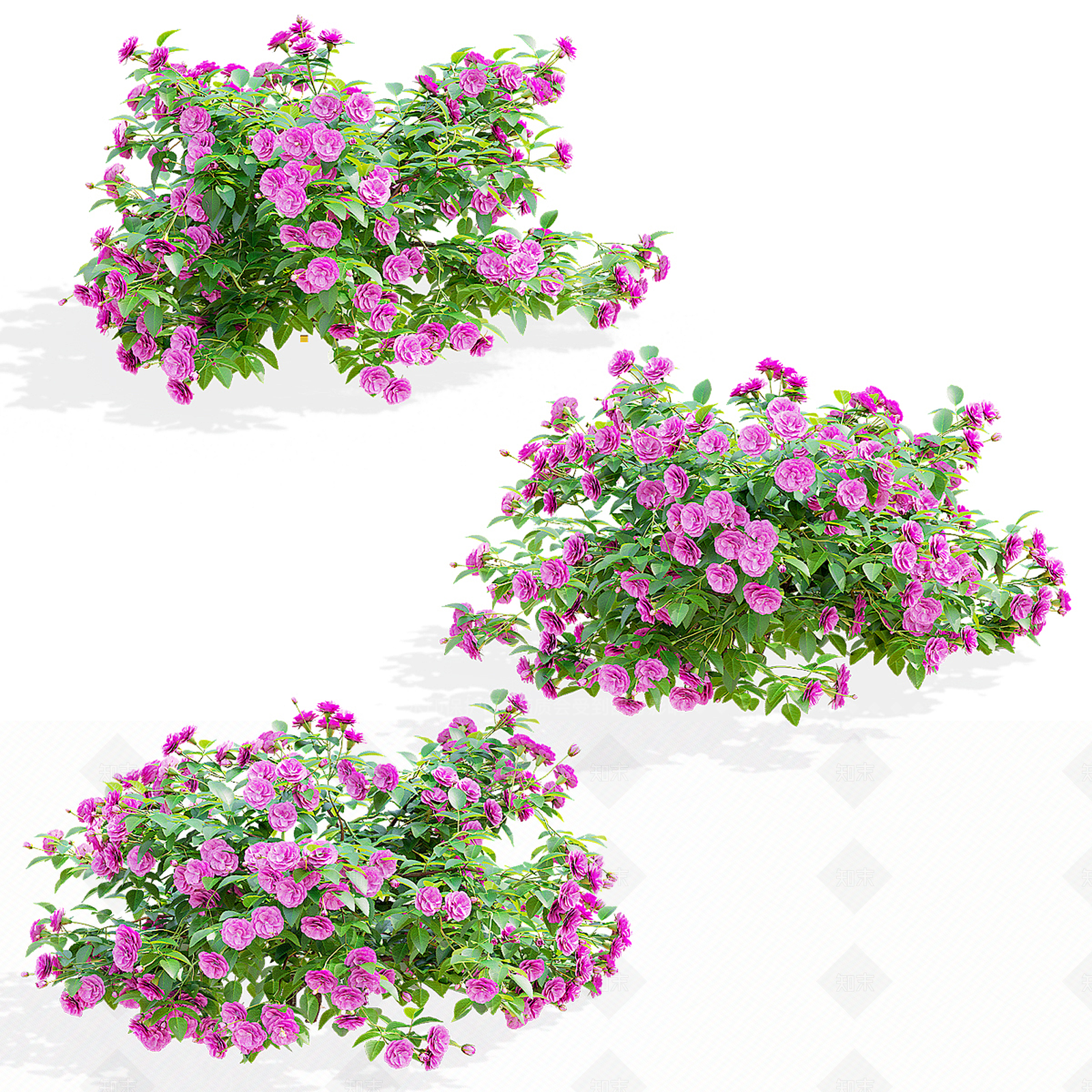 花3D模型下载【ID:1193198224】