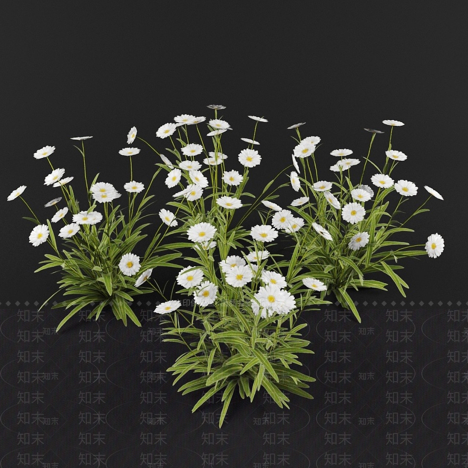 现代绿植花卉小菊花3D模型下载【ID:1193221260】