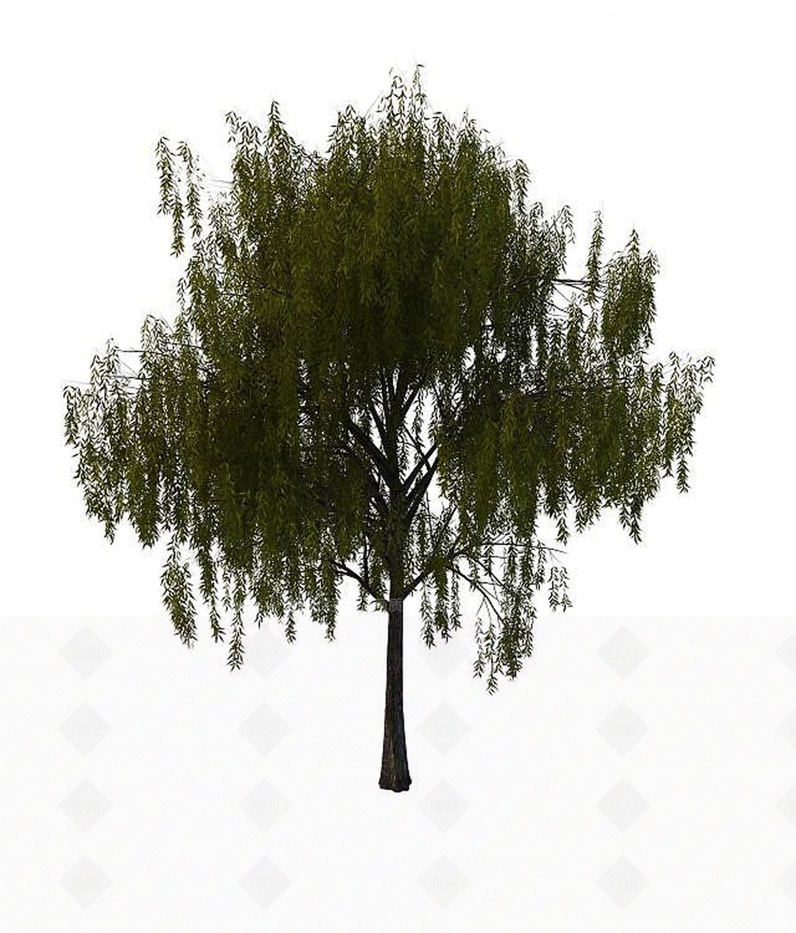 现代柳树3D模型下载【ID:1193230034】