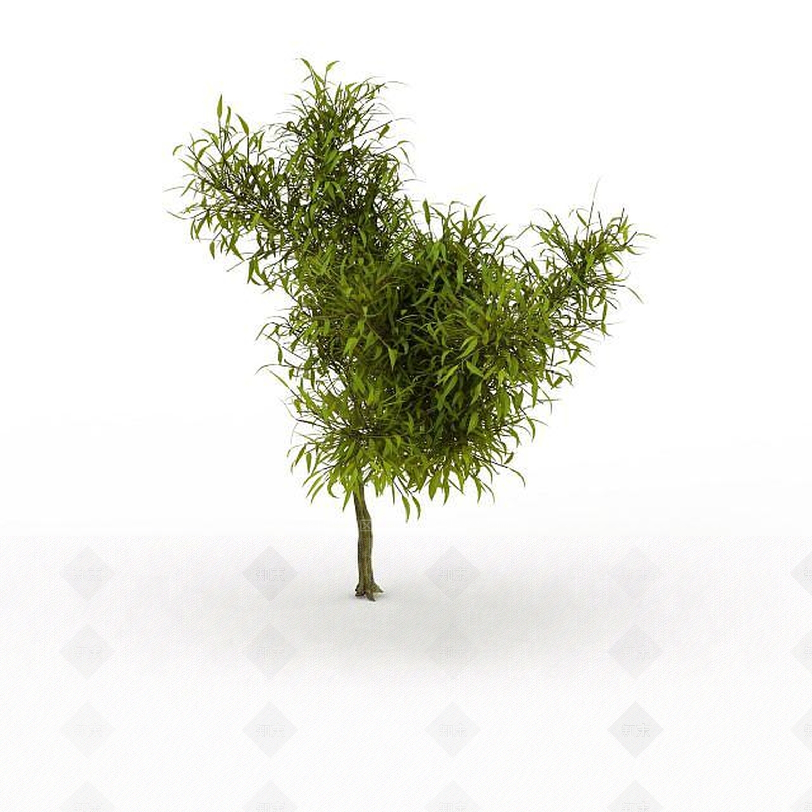现代灌木3D模型下载【ID:1193233321】