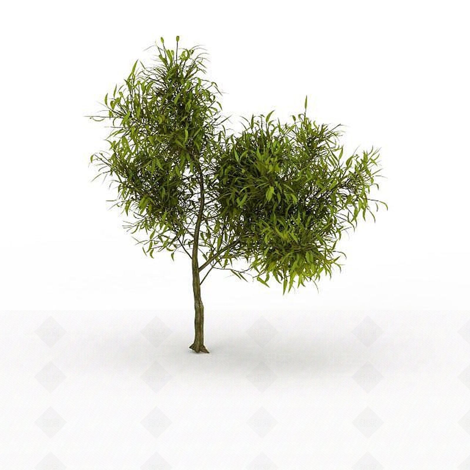 现代灌木3D模型下载【ID:1193233321】
