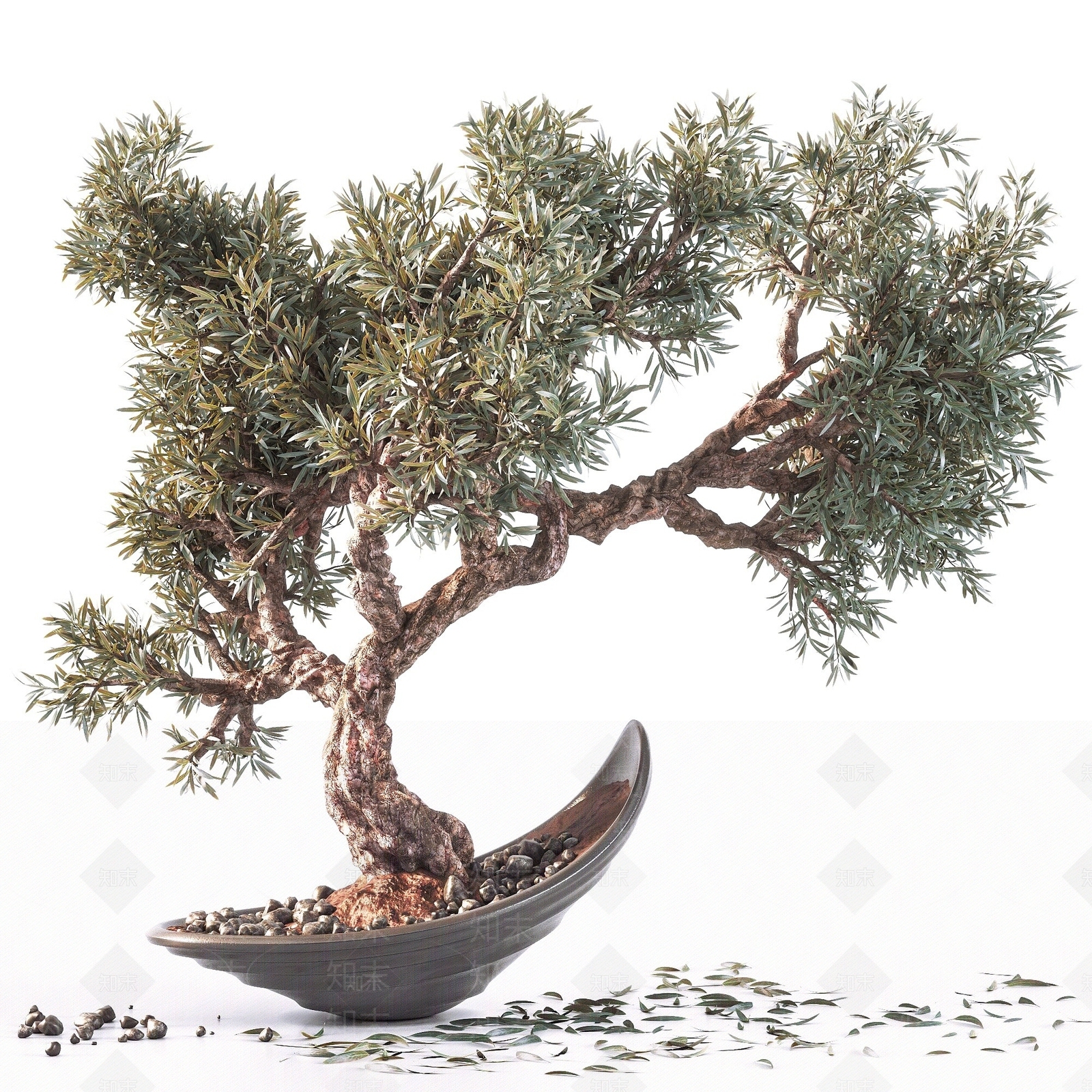 新中式盆栽罗汉松3D模型下载【ID:1193237195】