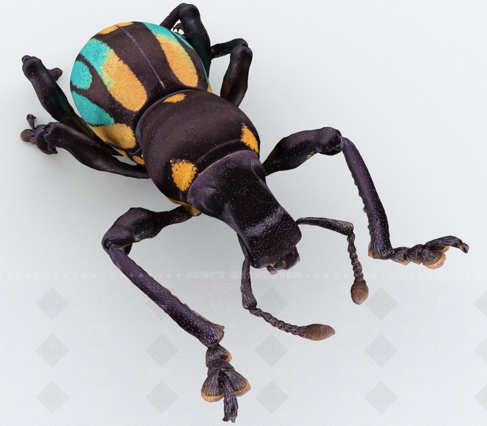 飞行类动物3D模型下载【ID:1193335905】