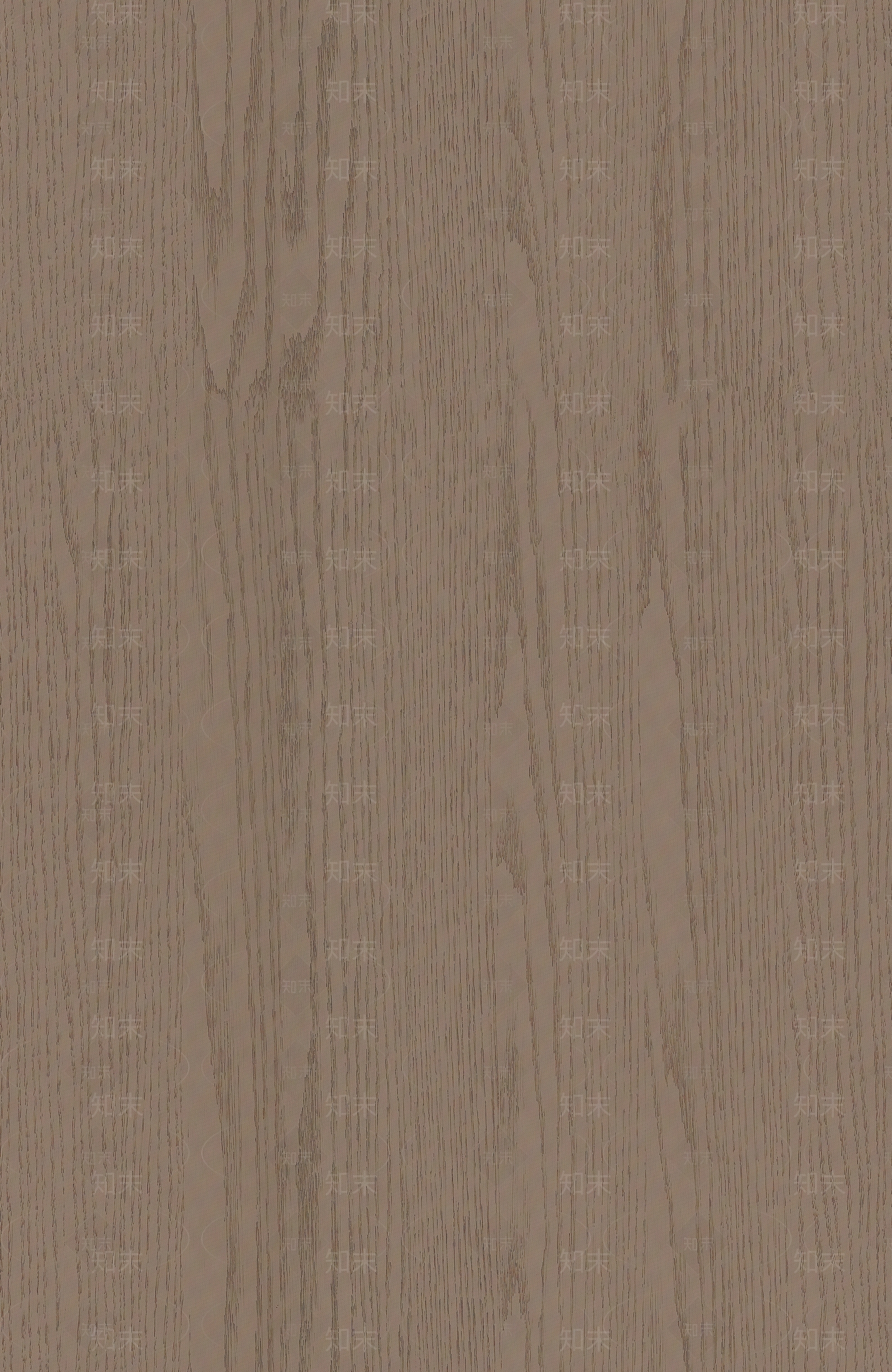现代意式橡木木纹贴图下载【ID:1193289907】