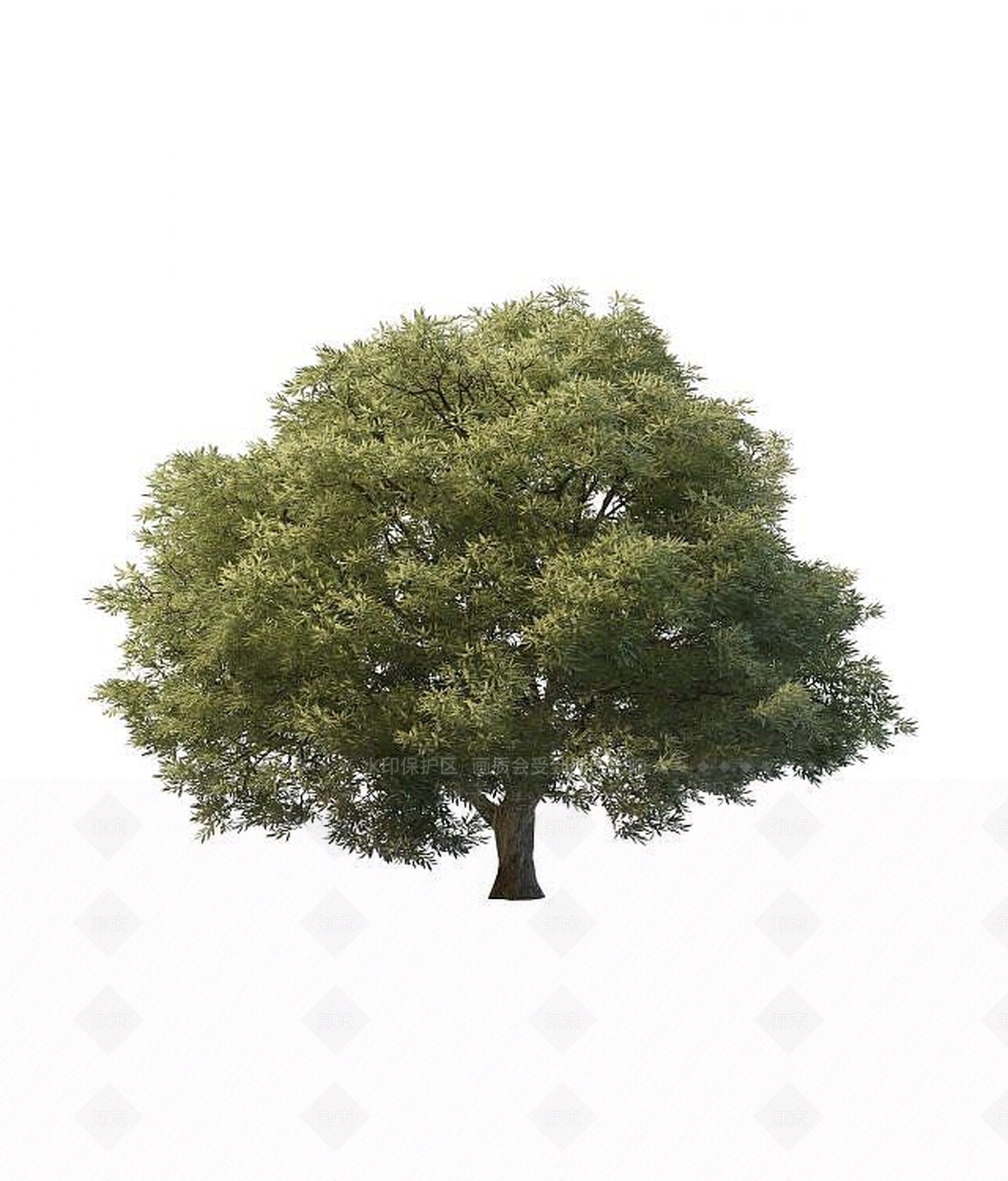 现代景观树木3D模型下载【ID:1193297039】