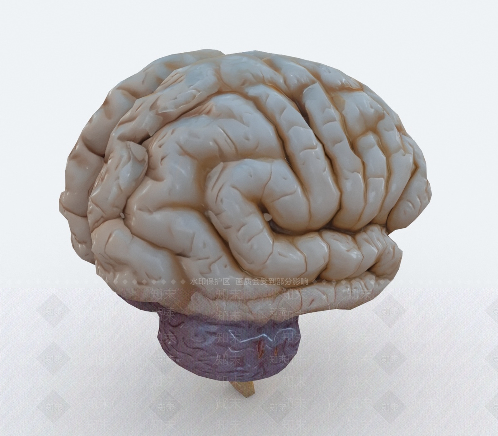 医疗器材3D模型下载【ID:1193308443】
