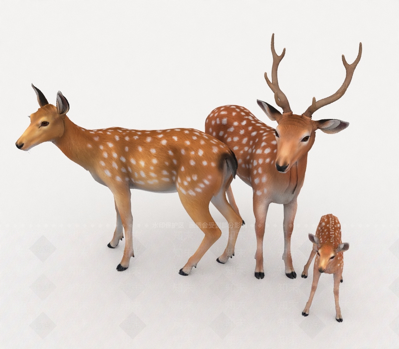 其他动物3D模型下载【ID:1193313462】