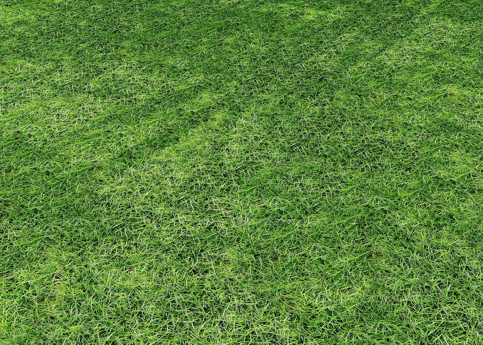 草坪3D模型下载【ID:1193353676】