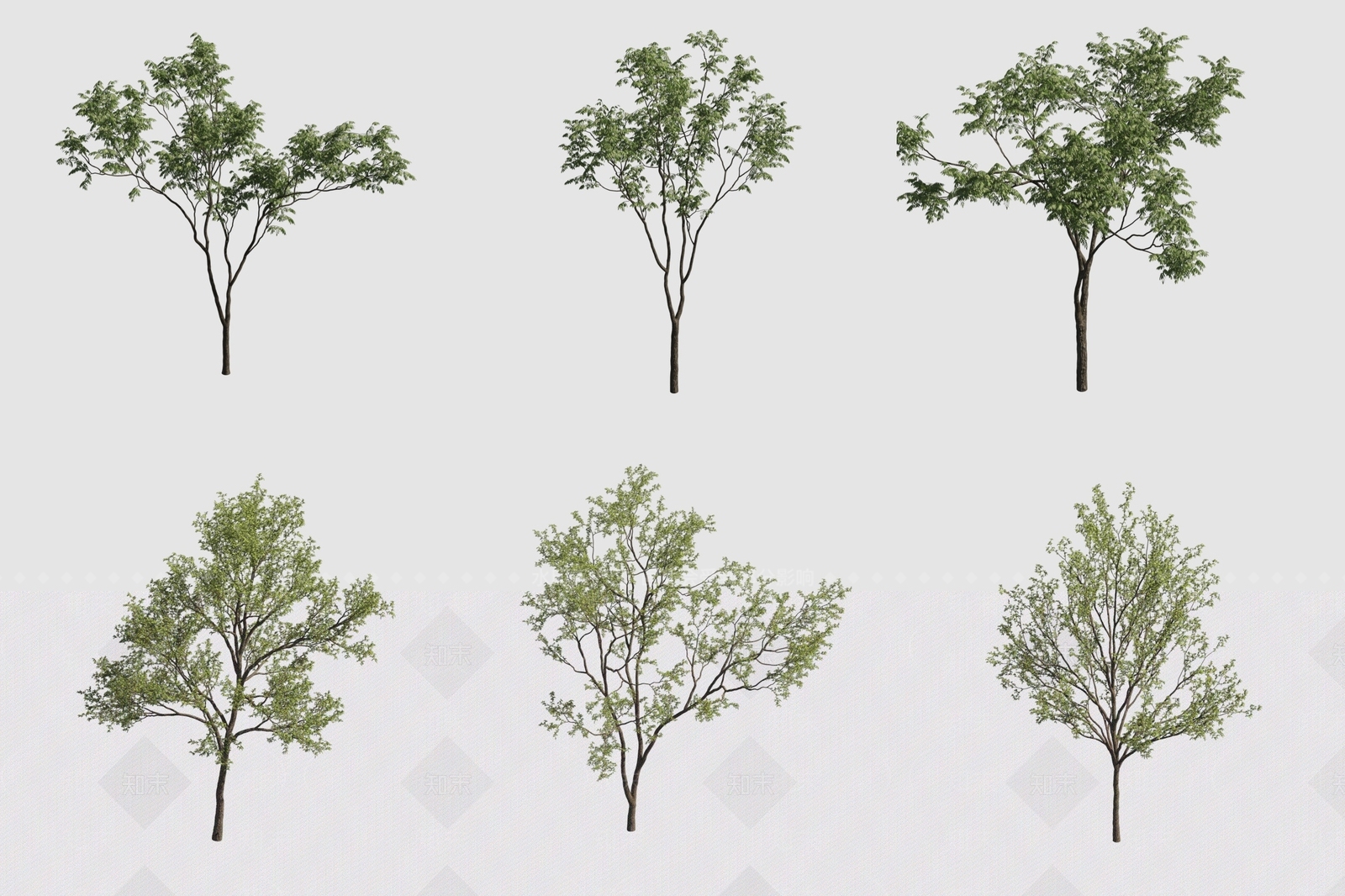景观树3D模型下载【ID:1193402799】