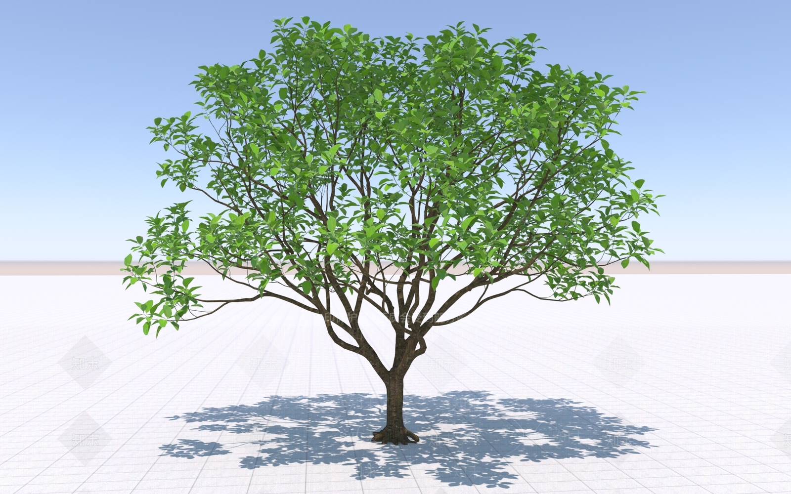 其他树木3D模型下载【ID:1193404814】