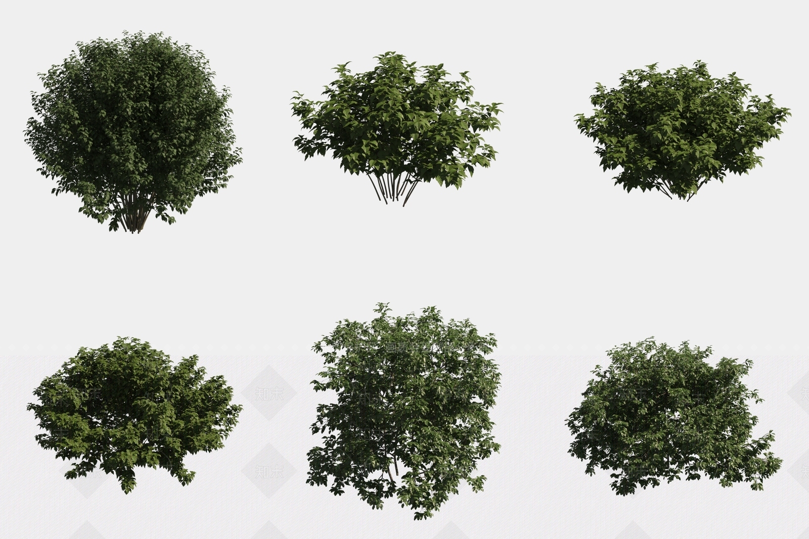 灌木3D模型下载【ID:1193406494】