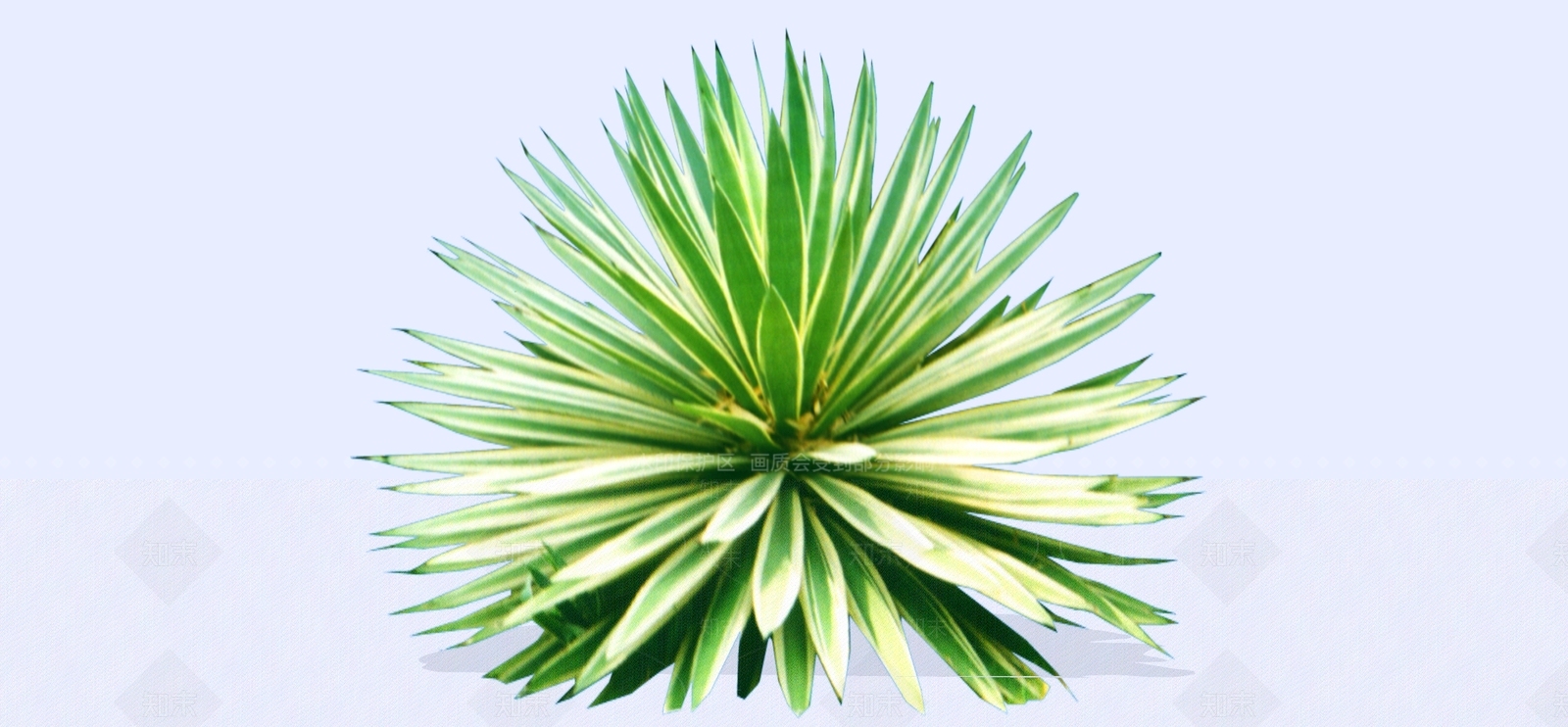 灌木SU模型下载【ID:1193407902】