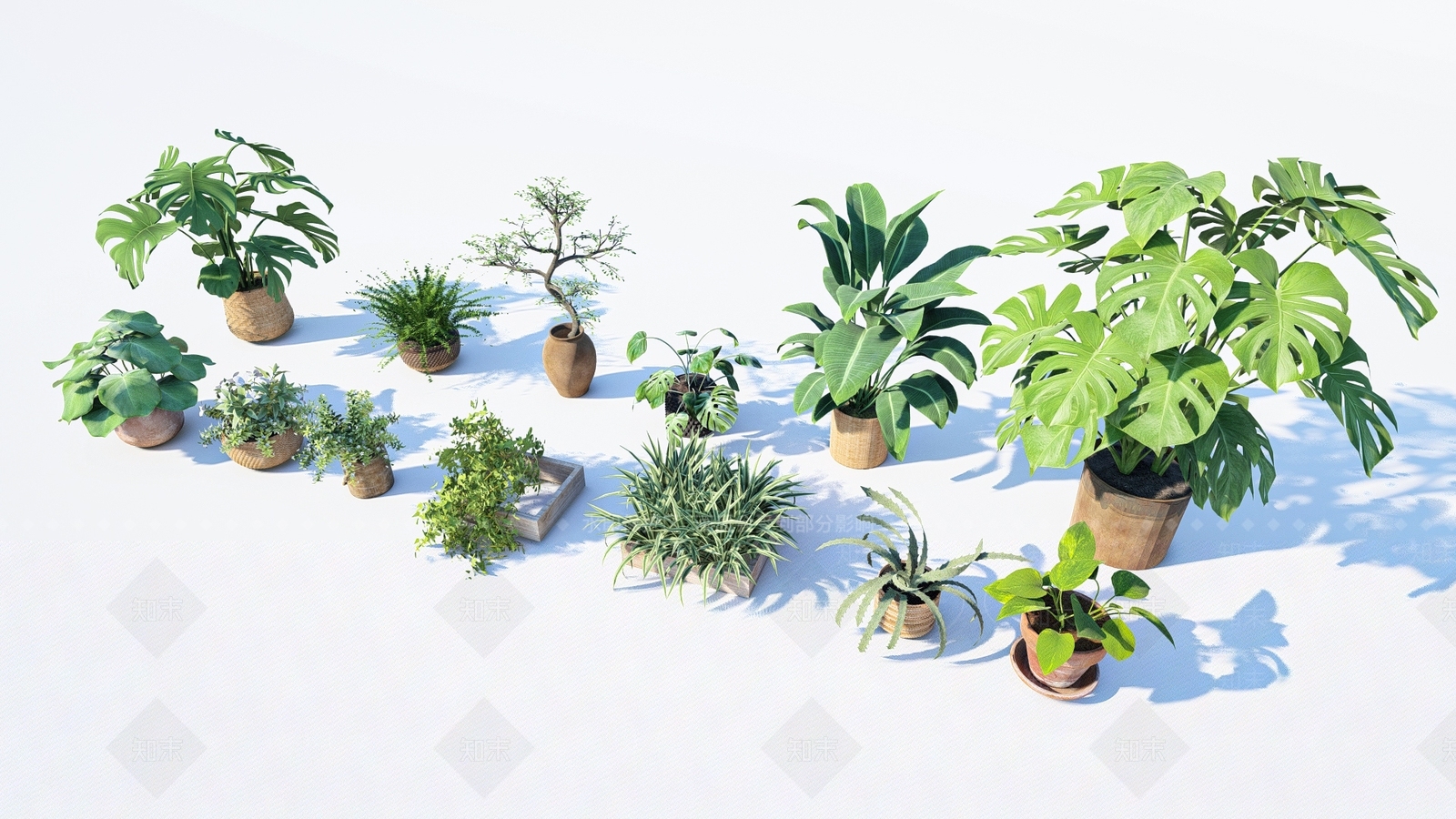 花草SU模型下载【ID:1193410190】